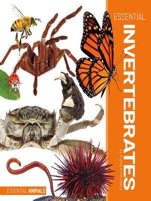 cover image of Essential Invertebrates